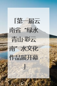 第一届云南省“绿水青山·彩云南”水文化作品展开幕
