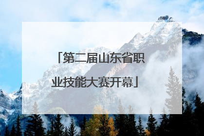 第二届山东省职业技能大赛开幕
