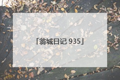 翁城日记 935