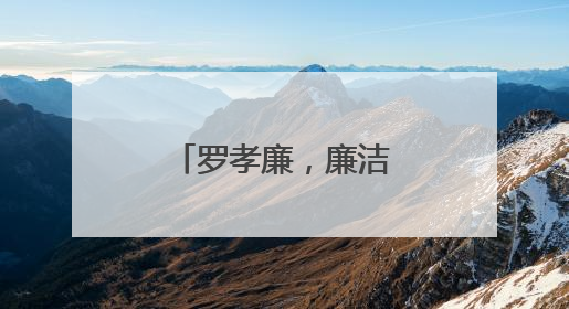 罗孝廉，廉洁底线失守，非法收受巨额财物