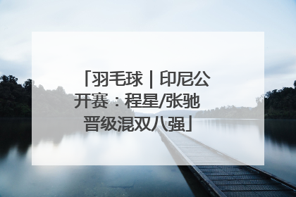 羽毛球｜印尼公开赛：程星/张驰晋级混双八强
