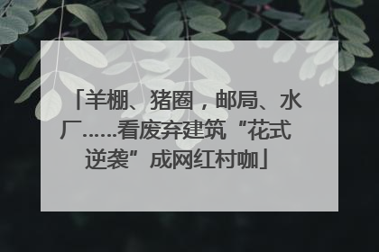 羊棚、猪圈，邮局、水厂……看废弃建筑“花式逆袭”成网红村咖
