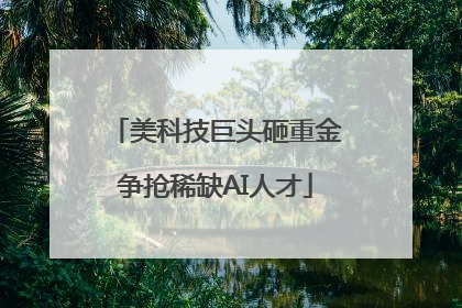 美科技巨头砸重金争抢稀缺AI人才