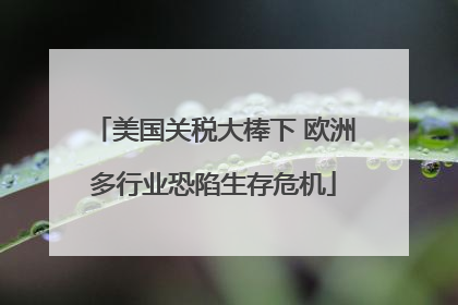 美国关税大棒下 欧洲多行业恐陷生存危机