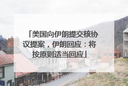 美国向伊朗提交核协议提案，伊朗回应：将按原则适当回应