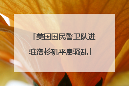 美国国民警卫队进驻洛杉矶平息骚乱