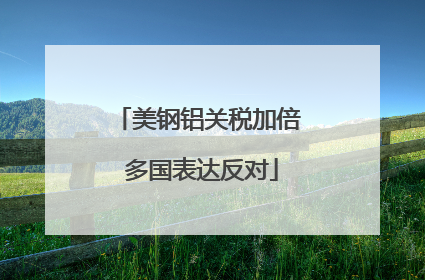 美钢铝关税加倍 多国表达反对