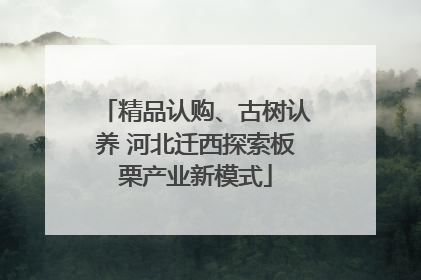 精品认购、古树认养 河北迁西探索板栗产业新模式
