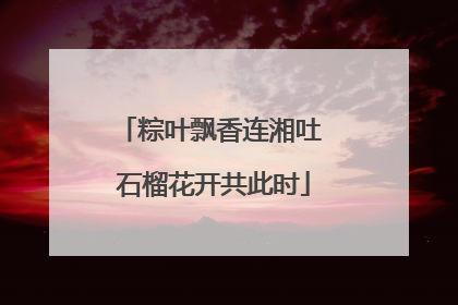 粽叶飘香连湘吐 石榴花开共此时