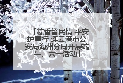 粽香警民情 平安护童行 连云港市公安局海州分局开展端午、六一活动