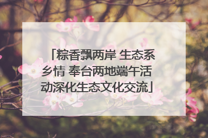 粽香飘两岸 生态系乡情 奉台两地端午活动深化生态文化交流