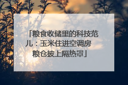 粮食收储里的科技范儿：玉米住进空调房 粮仓披上隔热罩