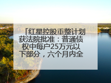 红星控股重整计划获法院批准：普通债权中每户25万元以下部分，六个月内全额现金清偿