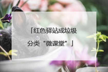 红色驿站成垃圾分类“微课堂”