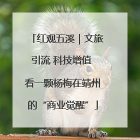 红观五溪｜文旅引流 科技增值 看一颗杨梅在靖州的“商业觉醒”