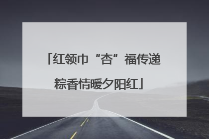 红领巾“杏”福传递 粽香情暖夕阳红