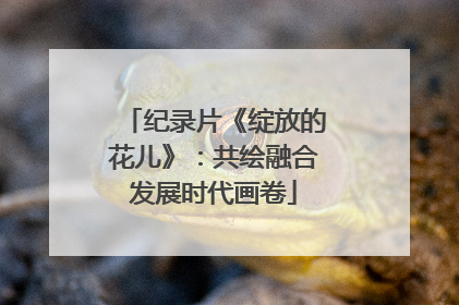 纪录片《绽放的花儿》：共绘融合发展时代画卷