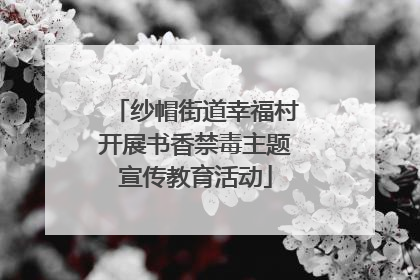 纱帽街道幸福村开展书香禁毒主题宣传教育活动