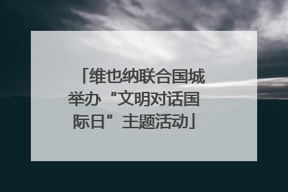 维也纳联合国城举办“文明对话国际日”主题活动