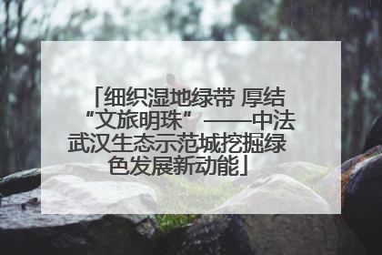 细织湿地绿带 厚结“文旅明珠”——中法武汉生态示范城挖掘绿色发展新动能