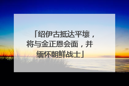 绍伊古抵达平壤，将与金正恩会面，并缅怀朝鲜战士