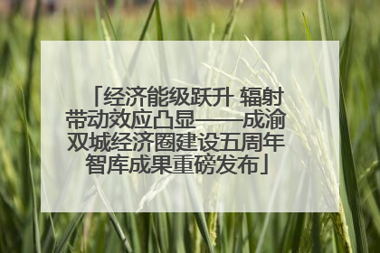 经济能级跃升 辐射带动效应凸显——成渝双城经济圈建设五周年智库成果重磅发布