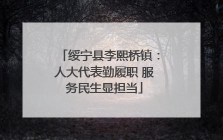 绥宁县李熙桥镇：人大代表勤履职 服务民生显担当