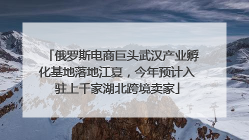 俄罗斯电商巨头武汉产业孵化基地落地江夏，今年预计入驻上千家湖北跨境卖家