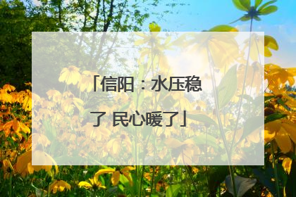 信阳：水压稳了 民心暖了