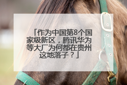作为中国第8个国家级新区，腾讯华为等大厂为何都在贵州这地落子？
