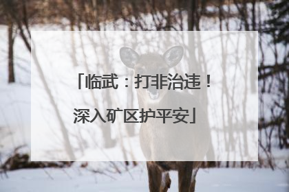 临武：打非治违！深入矿区护平安
