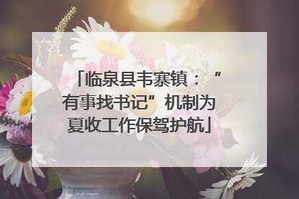 临泉县韦寨镇：“有事找书记”机制为夏收工作保驾护航