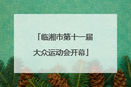 临湘市第十一届大众运动会开幕