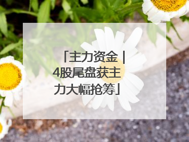 主力资金｜4股尾盘获主力大幅抢筹