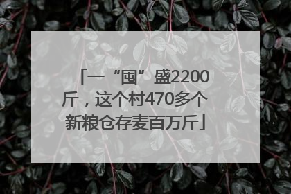 一“囤”盛2200斤，这个村470多个新粮仓存麦百万斤