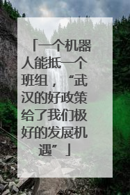 一个机器人能抵一个班组，“武汉的好政策给了我们极好的发展机遇”