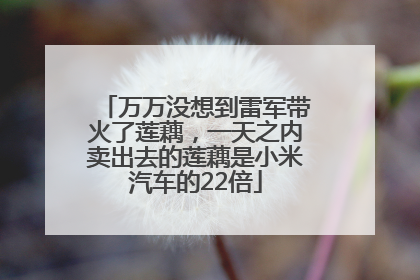 万万没想到雷军带火了莲藕，一天之内卖出去的莲藕是小米汽车的22倍