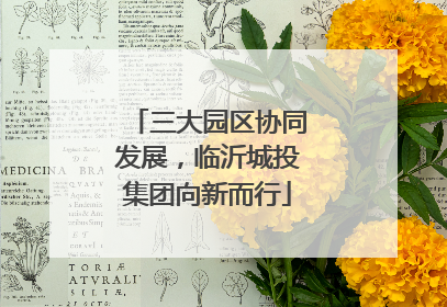 三大园区协同发展，临沂城投集团向新而行