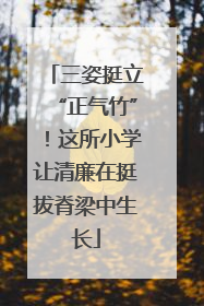三姿挺立“正气竹”！这所小学让清廉在挺拔脊梁中生长