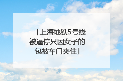 上海地铁5号线被逼停只因女子的包被车门夹住
