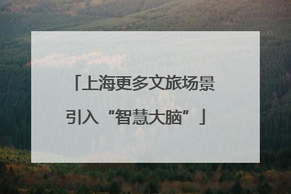 上海更多文旅场景引入“智慧大脑”