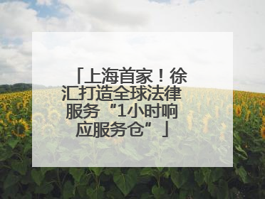 上海首家！徐汇打造全球法律服务“1小时响应服务仓”