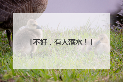不好，有人落水！