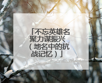 不忘英雄名 聚力谋振兴（地名中的抗战记忆）