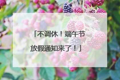 不调休！端午节放假通知来了！