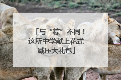与“粽”不同！这所中学献上花式减压大礼包