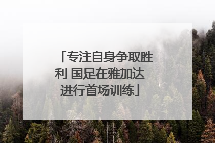专注自身争取胜利 国足在雅加达进行首场训练