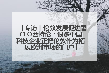 专访丨伦敦发展促进署CEO西特伦：很多中国科技企业正把伦敦作为拓展欧洲市场的门户