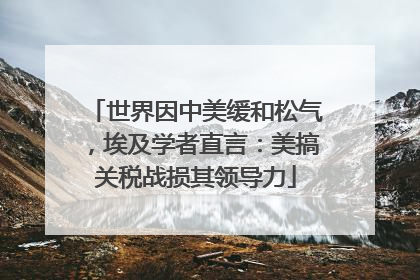 世界因中美缓和松气，埃及学者直言：美搞关税战损其领导力