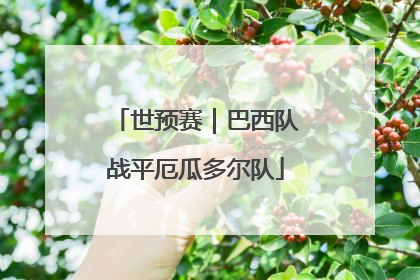 世预赛｜巴西队战平厄瓜多尔队